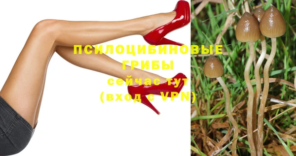 скорость Абаза